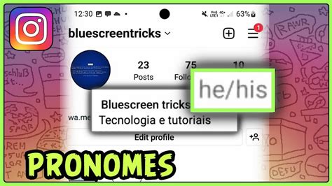 Como Colocar Pronome No Instagram Youtube