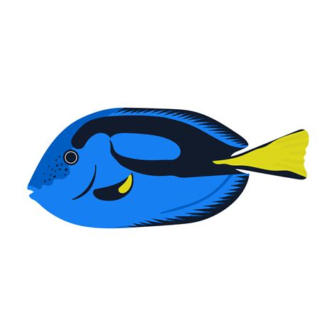 Palette Surgeon Blue Fish With The Yellow Tail Collection Set Of