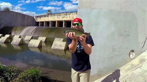 Urban Fishing In Downtown San Antonio YouTube