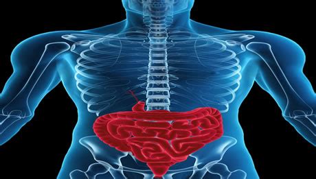 Colectomy - Bowel Resection - Healthgrades.com