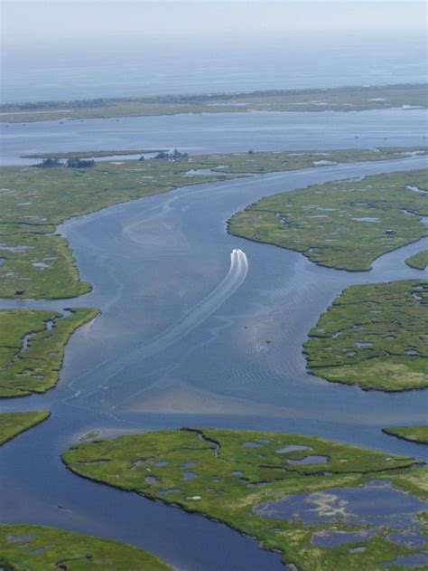 Estuary Estuary River Marine Images