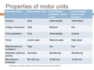 Concept of motor unit by sandeep choudhary | PPT