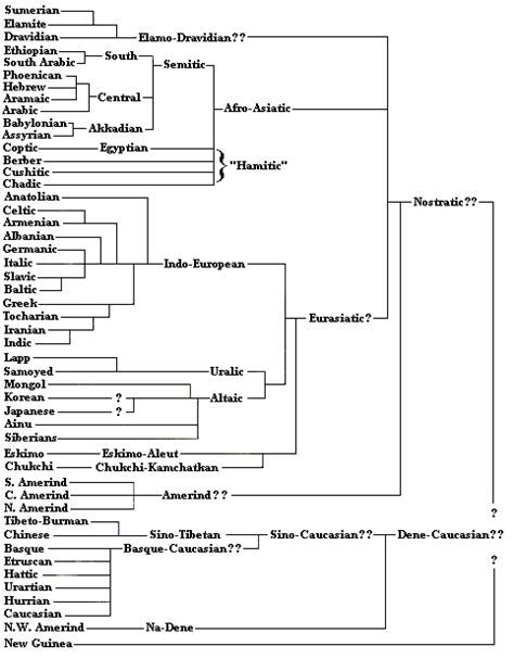 The Root Of All Human Languages