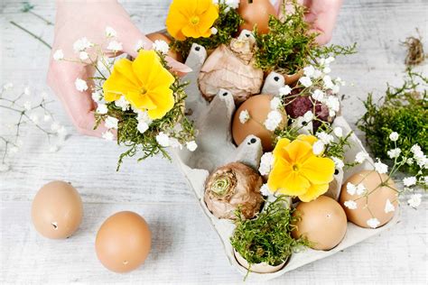 Basteln Mit Eierschalen Pflanzendeko Zu Ostern Gartenflora