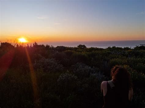 Signal Hill Cape Town A Guide To Iconic Views And Activities