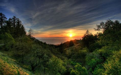 Hintergrundbilder Sonnenlicht Landschaft Wald Sonnenuntergang