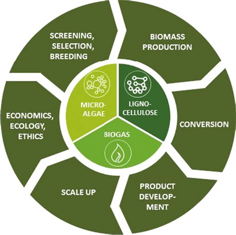 Biobased Value Chains For A Growing Bioeconomy Lewandowski 2019