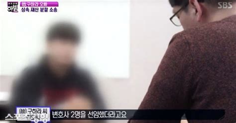 故 구하라 친오빠 동생 목숨값 친모에게 못 줘우릴 버릴 땐 언제고 변호사까지 선임