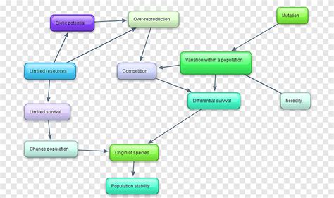 Mapa conceitual de espécies e especiação Seleção natural mapa texto