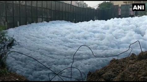 Bengaluru's Bellandur Lake, Infamous For Its Pollution, Begins To Froth ...