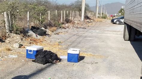 Hallan Cuerpos Mutilados Y Restos Humanos En Distintas Zonas De Monterrey