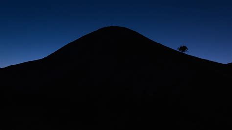 Pohon Kesepian Di Gunung Di Malam Hari Foto Stok Unduh Gambar