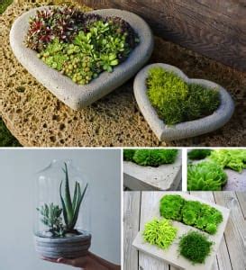 DIY Terrarium Basteln Mit Beton FresHouse