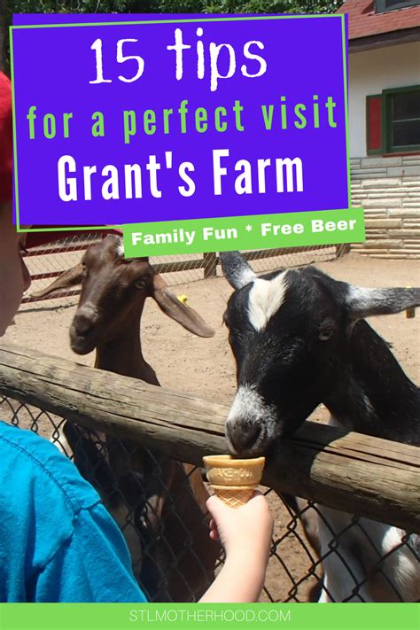 Grants Farm 12 Tips For An Awesome Visit In 2021 Grants Farm Farm