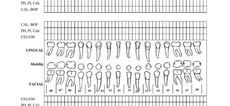 Printable Perio Charting Template - Printable Forms Free Online