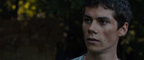 Dylan Obrien Wallpapers Wallpaper Cave