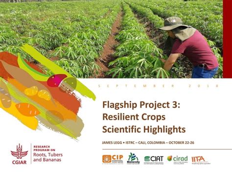 Resilient Crops Flagship Project 3 Overview Istrc 2018 Ppt