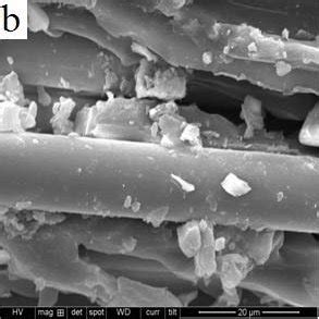 Sem Images Of Tensile Fractured Surface Of Gb E Gr Samples A At X