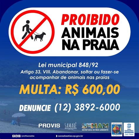 Prefeitura de São Sebastião alerta que levar animais à praia pode gerar