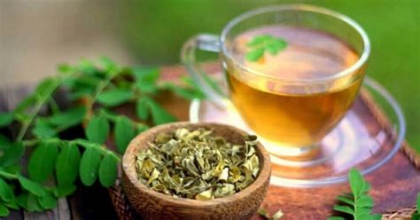 Moringa Tea: Benefits And Side Effects - HealthPulls