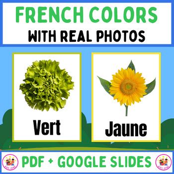 French Colors Vocabulary Printable Digital Real Picture Cards