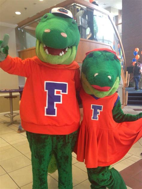 Pin by lokiamus . on Florida Gators! Chomp Chomp! | Florida football ...