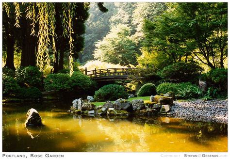 japanese rose garden portland oregon ideas   year sharonsable