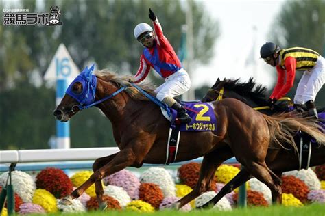 昨年の菊花賞馬トーホウジャッカルが春の天皇賞を回避 競馬ニュース 競馬ラボ