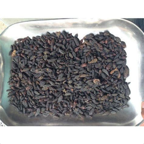 himej herb bal harad seeds   price  ahmedabad pooja traders