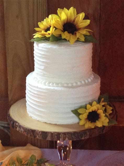 Chocolate Layer Tier Wedding Cake Rustic Iced In White