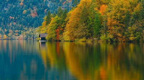 Forest Water Nature Fall Lake Bohinj Lake Trees Slovenia House