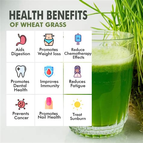 Patanjali Wheat Grass Powder Ingredients Composition Properties