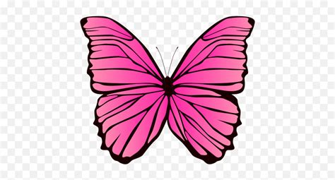 Pink Butterfly Design Transparent Png U0026 Svg Vector File Desenho