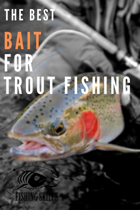 Trout bait – Artofit