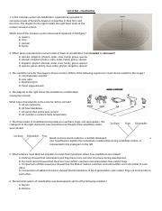 Classification Exam Practice Docx Unit Test Classification In