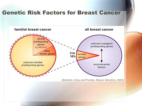 PPT Genetics And Molecular Biology In Breast Cancer PowerPoint