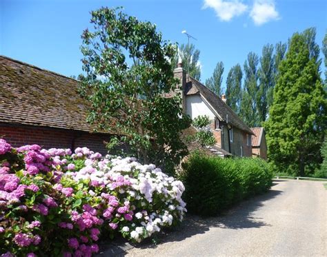 Castle Lavender Farm Near Shoreham Marathon Geograph Britain And