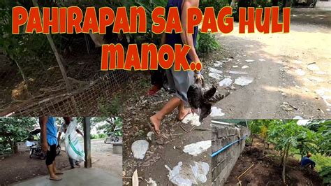 Huli Tayo Ng Manok Na Native May Hukay Na Para Sa Poste Ng Kuryente