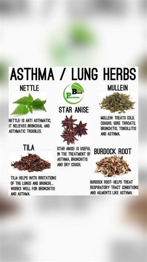 Asthma /Lung Herbs | Natural asthma remedies, Medical herbs, Natural remedies