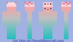 Mi totem Minecraft Skin