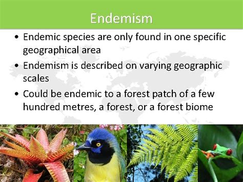 WALLACE RESOURCE LIBRARY Lecture 06 Endemism And Biodiversity