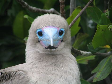 Photos from Ecuador | - CountryReports