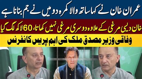 Federal Minister Petroleum Musadik Malik Press Conference Today Neo