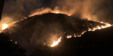 Esto Es Lo Que Se Sabe Del Voraz Incendio Forestal En Cerro Cristo Rey