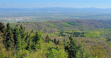 Regio Projekt WaldlabOR Neue Impulse für das Ökosystem Wald am