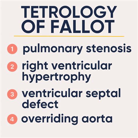 Nursing Basics For Tetralogy Of Fallot Straight A Nursing