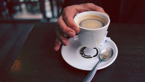 Логотип для торговой марки Gatto Nero on Behance