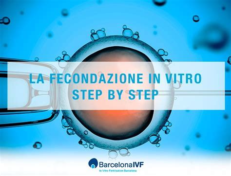 Fecondazione In Vitro Passo Dopo Passo Barcelona IVF