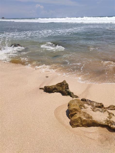 Waves, Coral Reefs, Soil, and Sand Stock Image - Image of wave, mudflat: 200577427