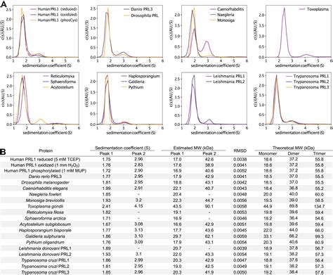 Burst Kinetics And CNNM Binding Are Evolutionarily Conserved Properties